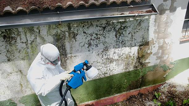 Trusted Mold Testing service in Leck Kill, PA - Cheap Mold Removal